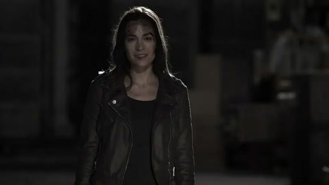 侠僧探案传奇之开封府 视频缩略图