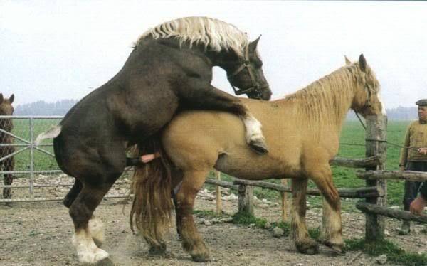 2010 视频缩略图