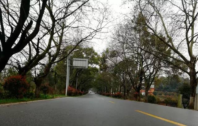 4等 视频缩略图