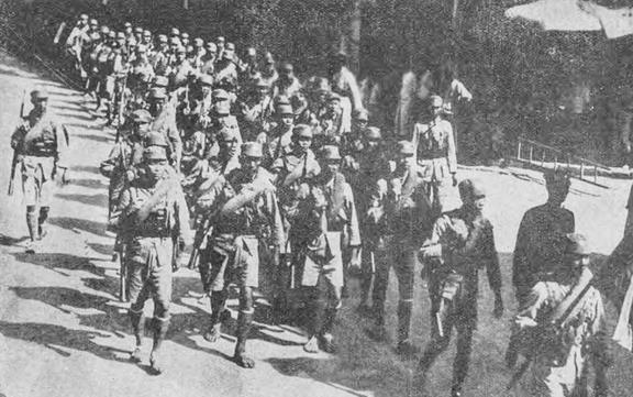 2046 视频缩略图