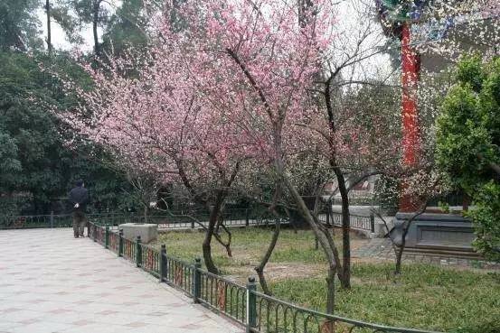 假面骑士联手出击驰骑与铠武电影大战全力出击 视频缩略图