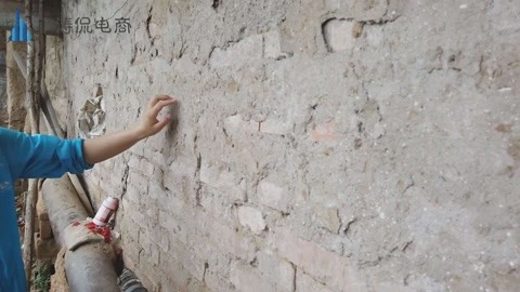 一枝梅 视频海报