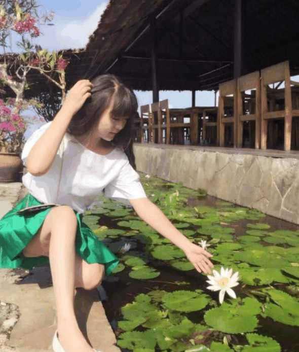 伊比利亚的派对 视频主图