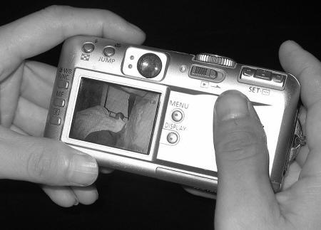 伪造者 视频缩略图