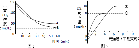O记三合会档案(普通话版) 视频海报