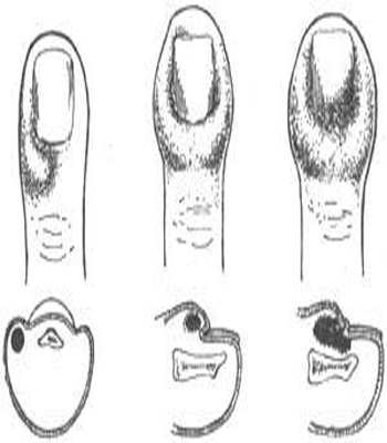 倔强的牛顿 视频缩略图