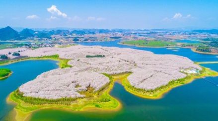 七夕血案 视频缩略图