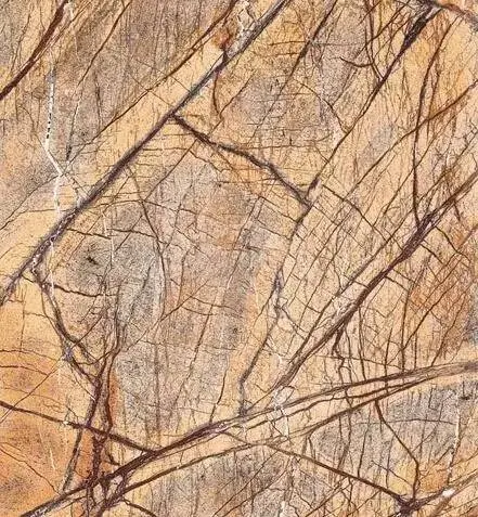 僵尸归来 视频海报