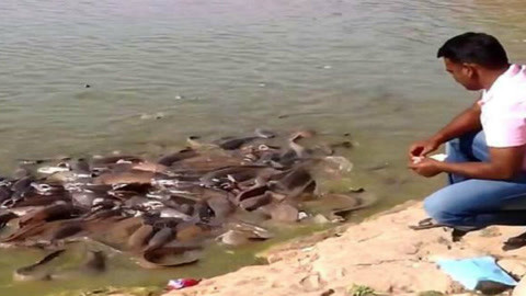 傲慢与偏见与僵尸 视频缩略图