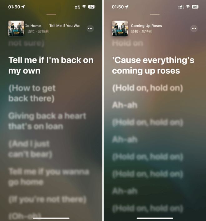 何处是我朋友的家 视频海报