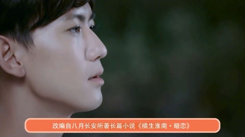 似曾不相识 视频海报