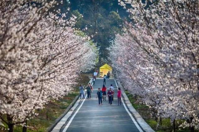 兄弟之义字当头