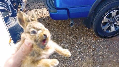 1812：枪骑兵之歌 视频缩略图