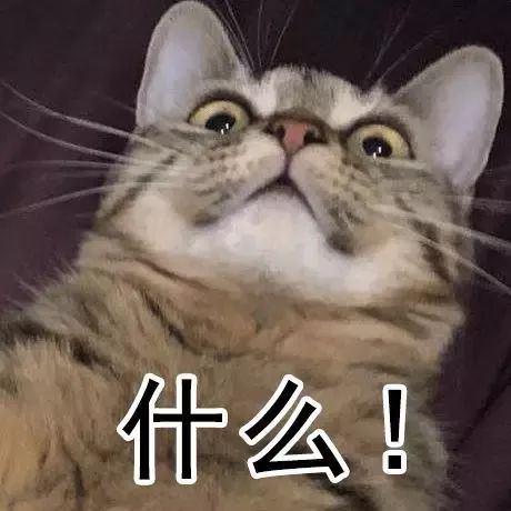 12岁Twelve 视频缩略图