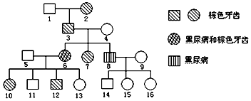 便衣警察 视频缩略图