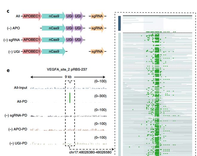 80后的独立宣言 视频海报