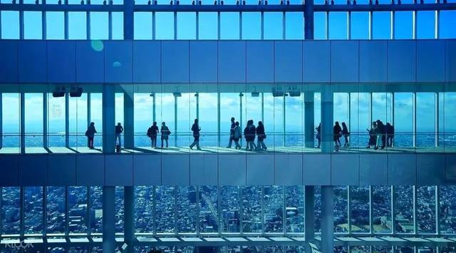 以假乱真：赝品的真实故事 视频缩略图