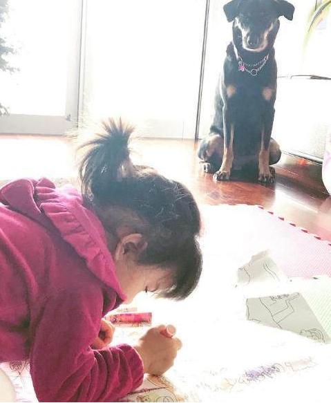 便衣警察 视频缩略图