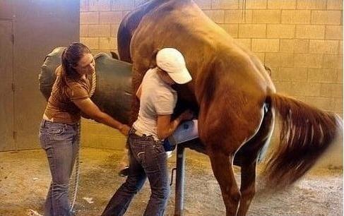 优越 视频缩略图