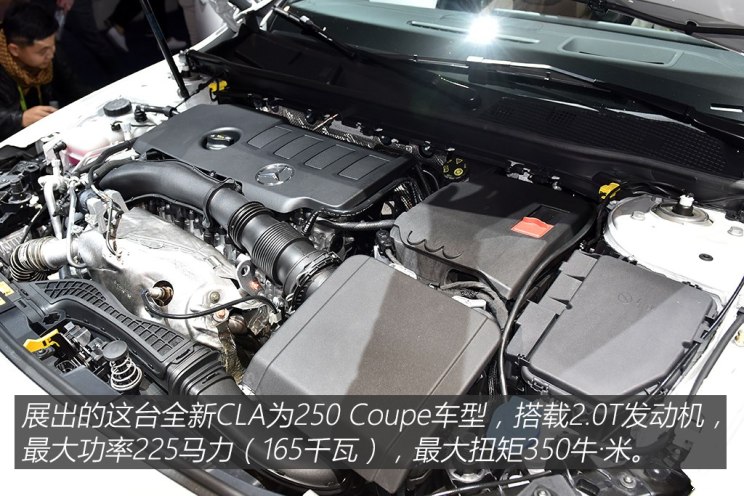 伊娃 视频缩略图