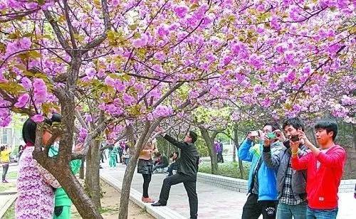 13号子弹 视频缩略图