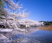 3号房死去的女孩 视频海报