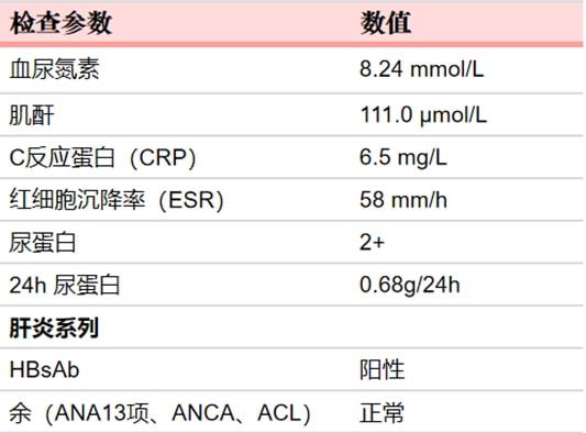 伊斯坦布尔红 视频海报