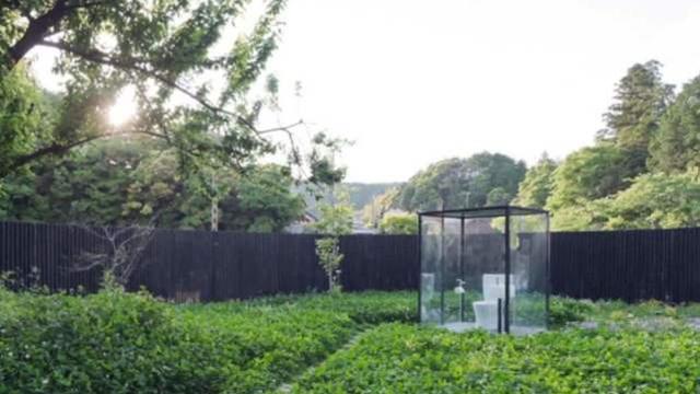 三个火枪手：米莱迪 视频缩略图