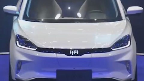 会长的贴身校花 视频缩略图