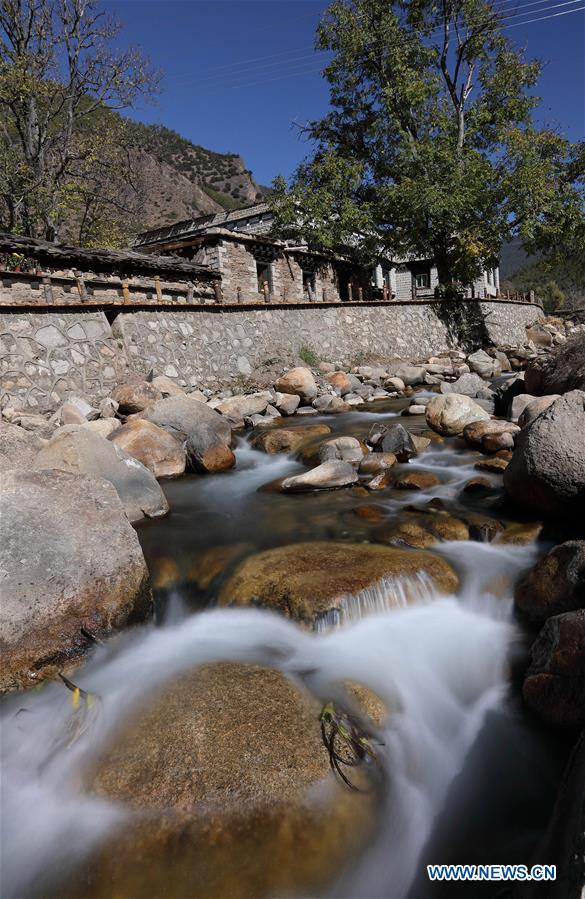 3号房死去的女孩 视频缩略图