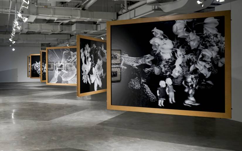 27套礼服 视频海报