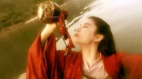 万花迎春 视频缩略图