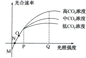 102真狗 视频海报