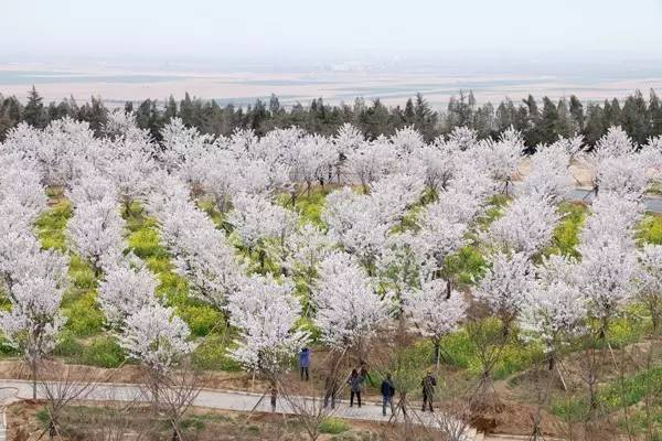 伦敦战场 视频缩略图