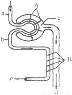 你是我的一束光 视频缩略图