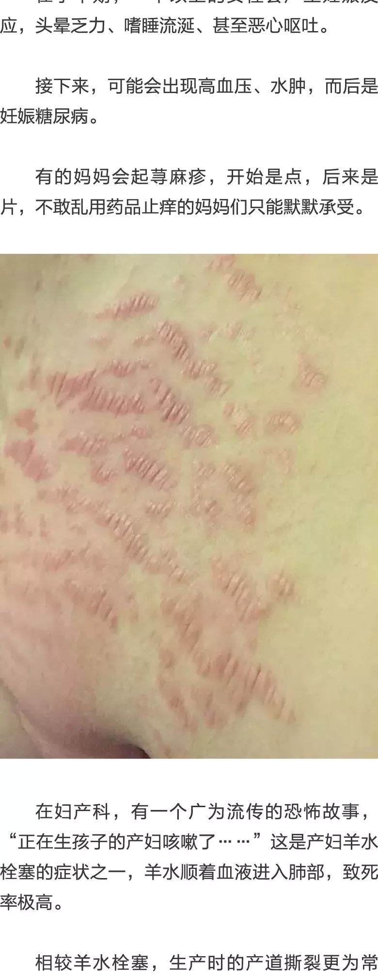 侠僧探案传奇之开封府 视频海报