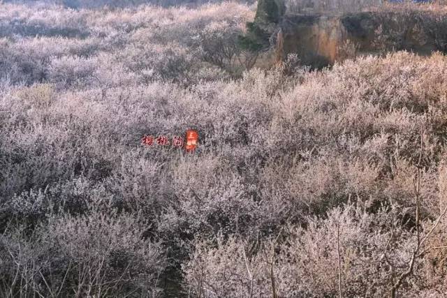 伦敦战场 视频缩略图