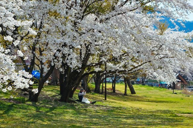 シティボーイズのFILM NOIR