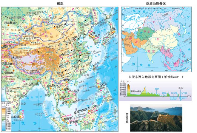 102真狗 视频缩略图