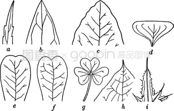 侠僧探案传奇之大兴赌坊 视频缩略图