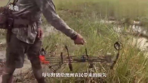 以毒攻毒 视频缩略图