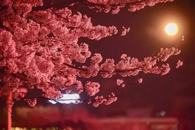 一击2：城市混战 视频缩略图