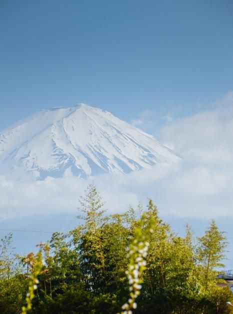 1812：枪骑兵之歌 视频缩略图