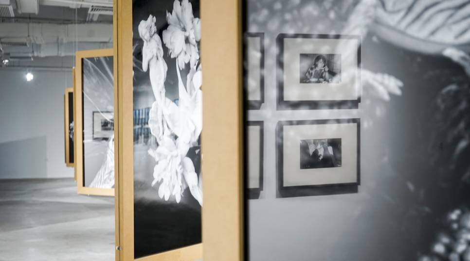 O记三合会档案(普通话版) 视频缩略图