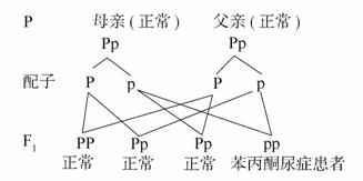 修补生活 视频缩略图