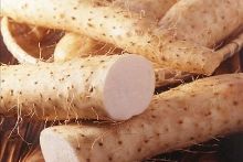 侠圣 视频缩略图