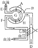 仙书奇谭 视频海报