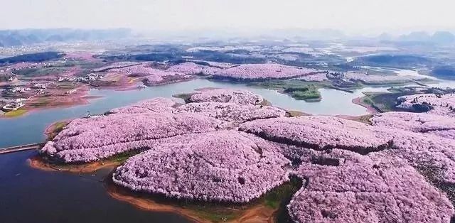 下狗风云 视频缩略图