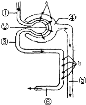 37次想你 视频海报