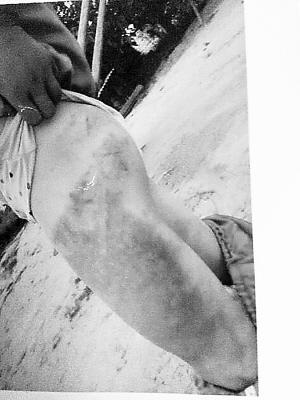 侠肝义犬（国语版）